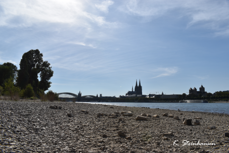 Mehr über den Artikel erfahren Strand am Rheinpark