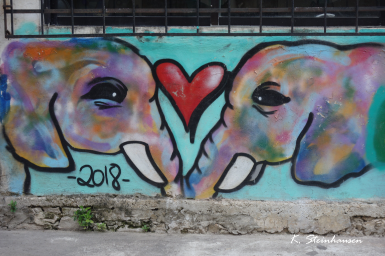 Read more about the article Graffitis Cancún