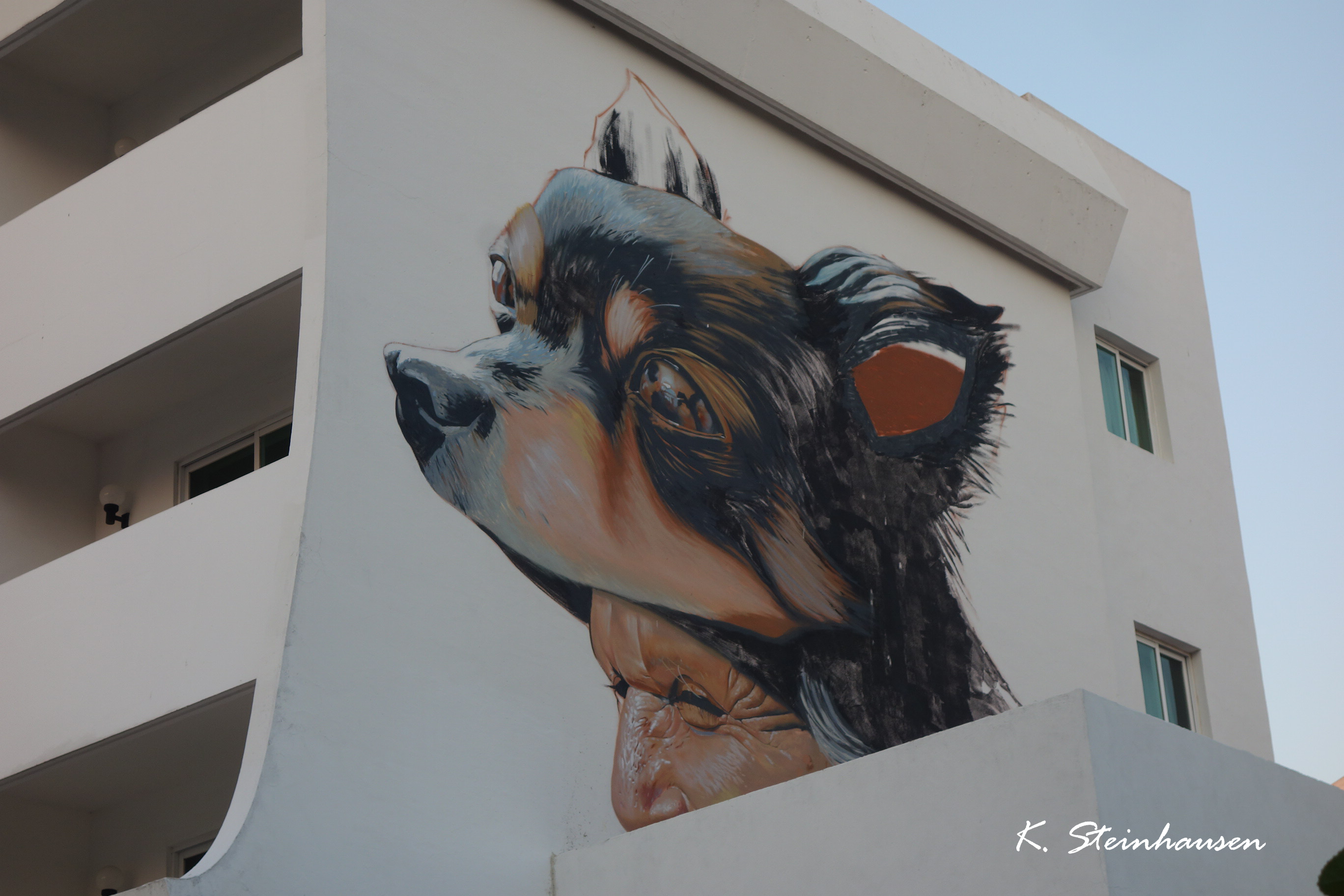 Mehr über den Artikel erfahren Streetart in Campeche