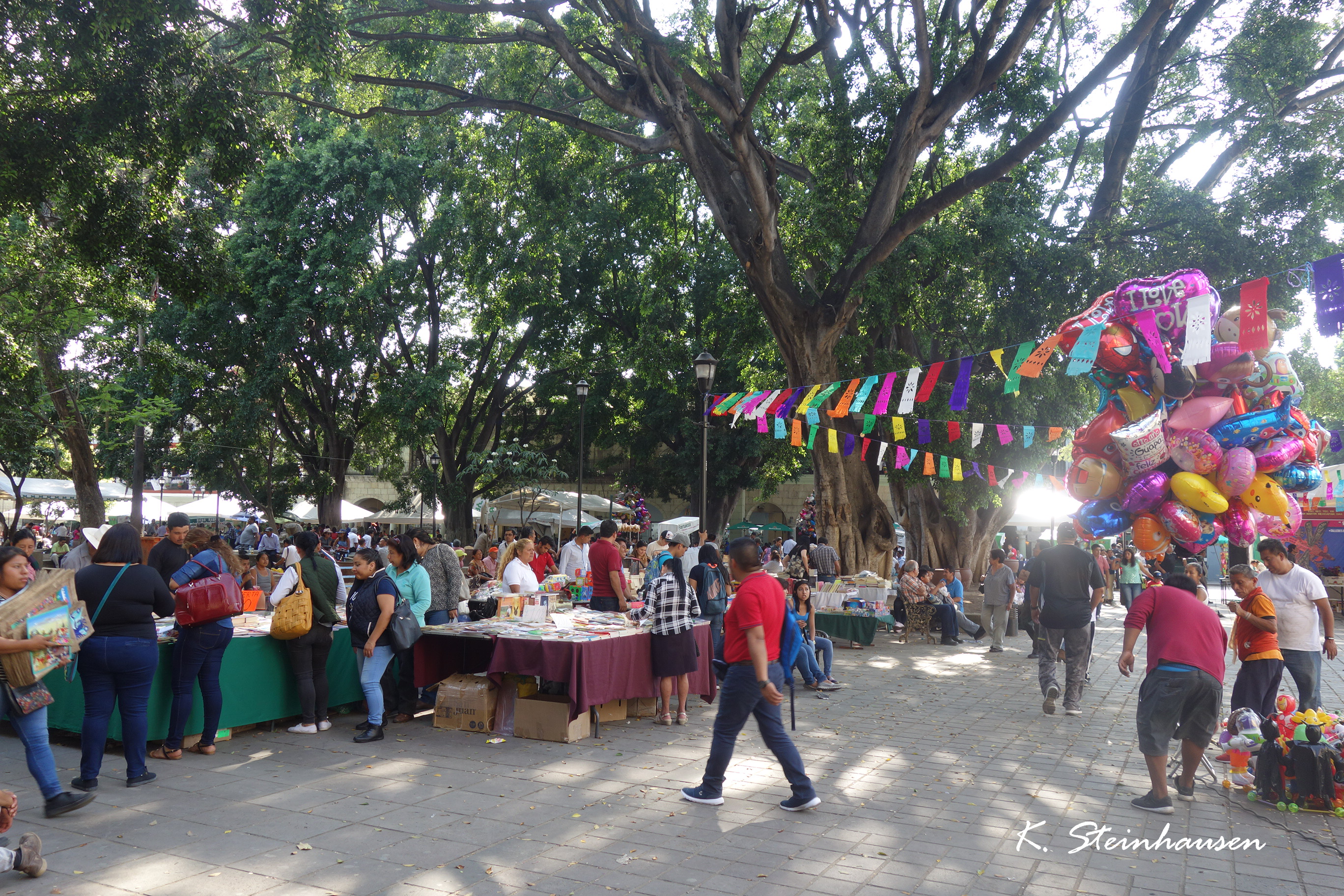 Mehr über den Artikel erfahren Park, Kathedrale & Dance Nights von Oaxaca