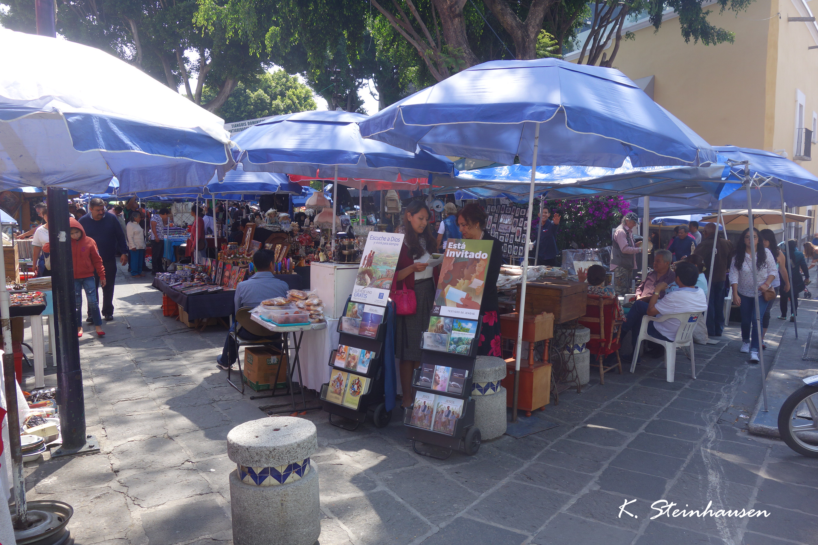 Mehr über den Artikel erfahren Sonntagsmarkt in Puebla