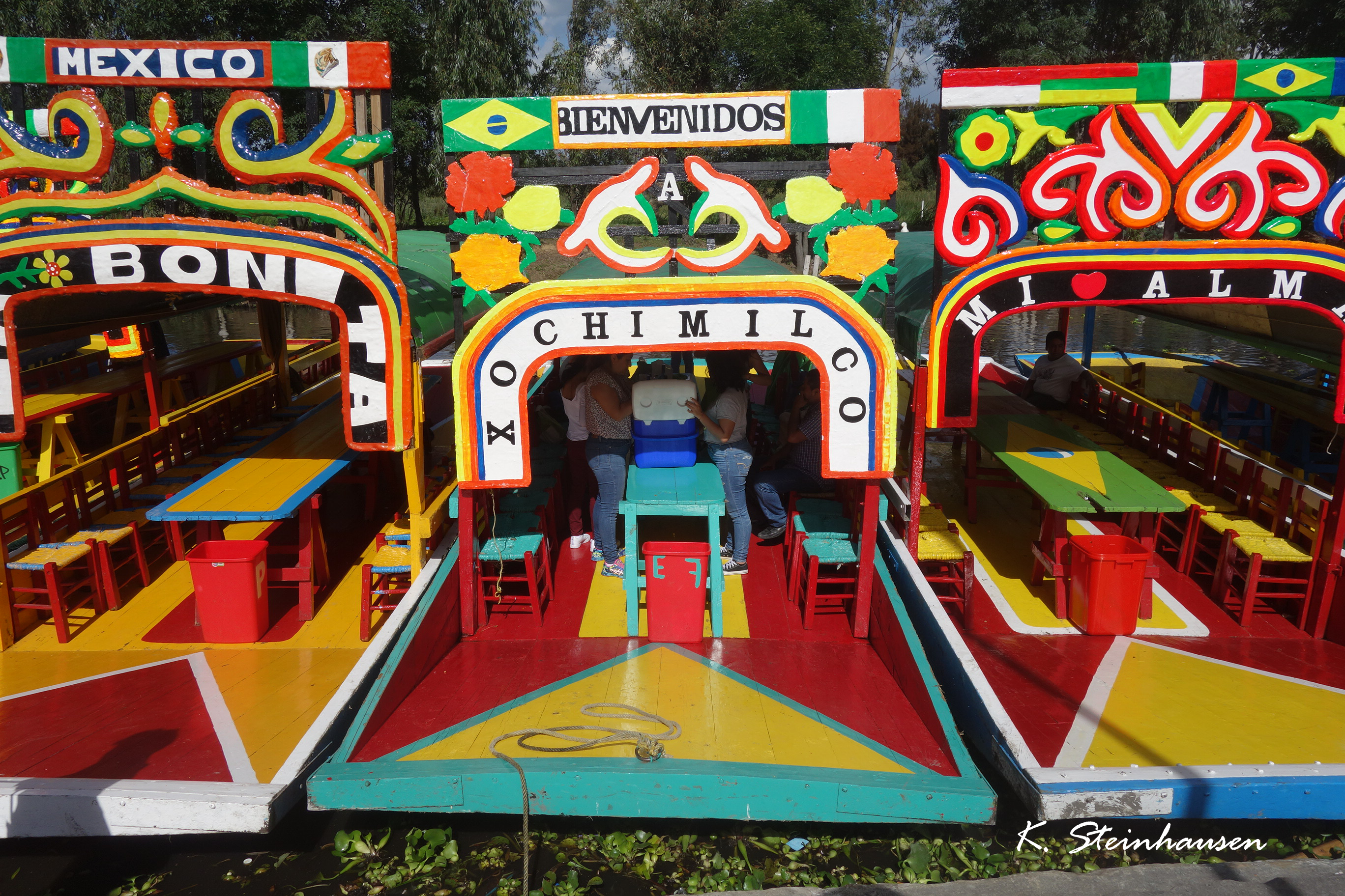Mehr über den Artikel erfahren Viertel Xochimilco