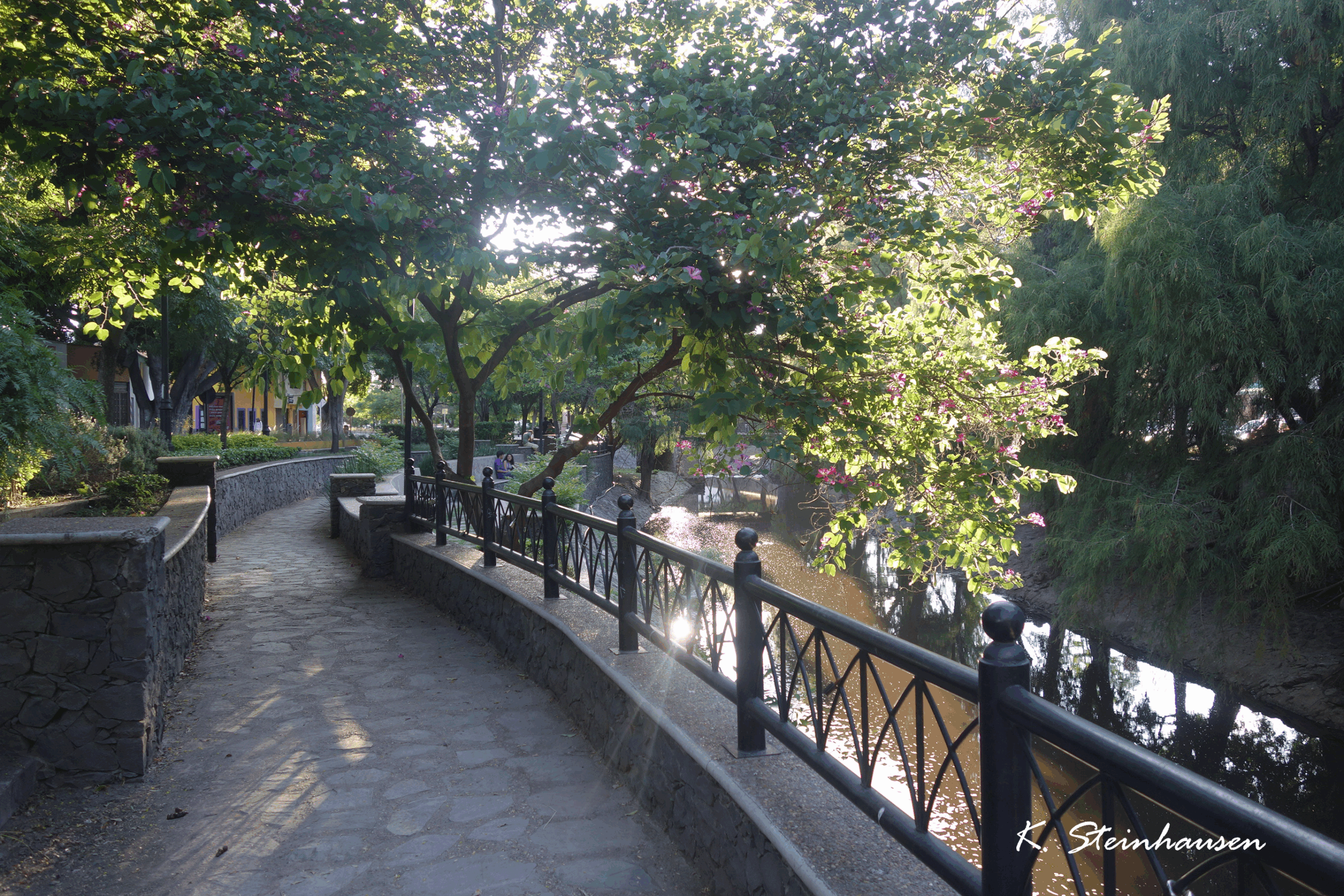Mehr über den Artikel erfahren Park Avenida Universidad in Querétaro