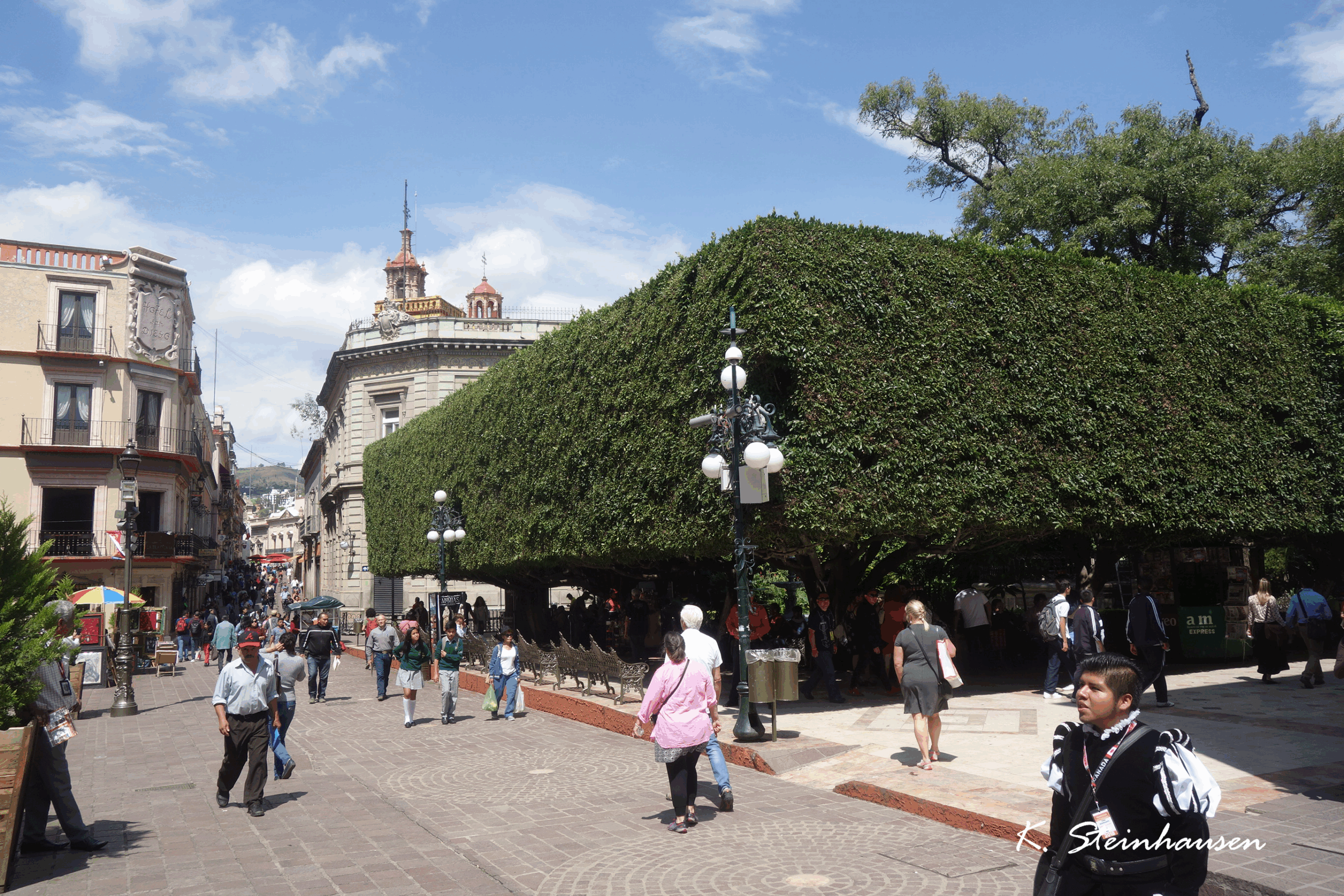 Mehr über den Artikel erfahren Zentralpark Guanajuato’s