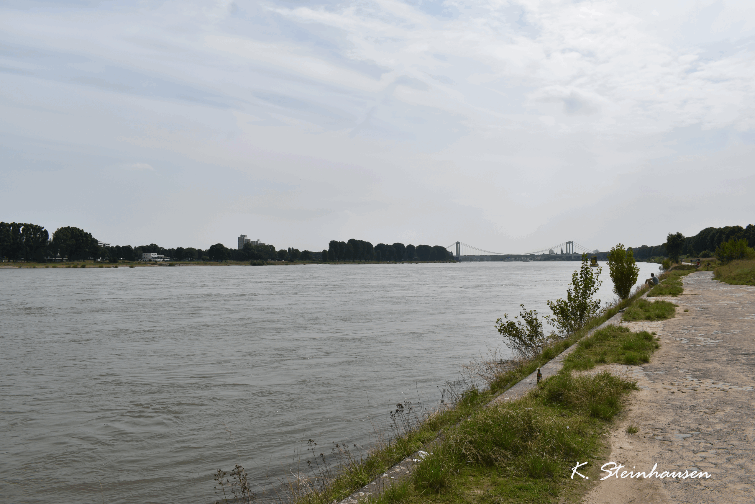 Mehr über den Artikel erfahren Fahrradtour am Rhein entlang