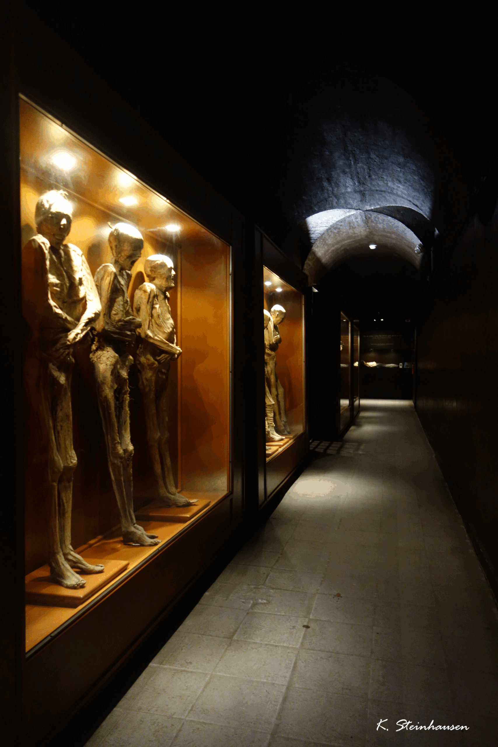 Mehr über den Artikel erfahren Mumienmuseum