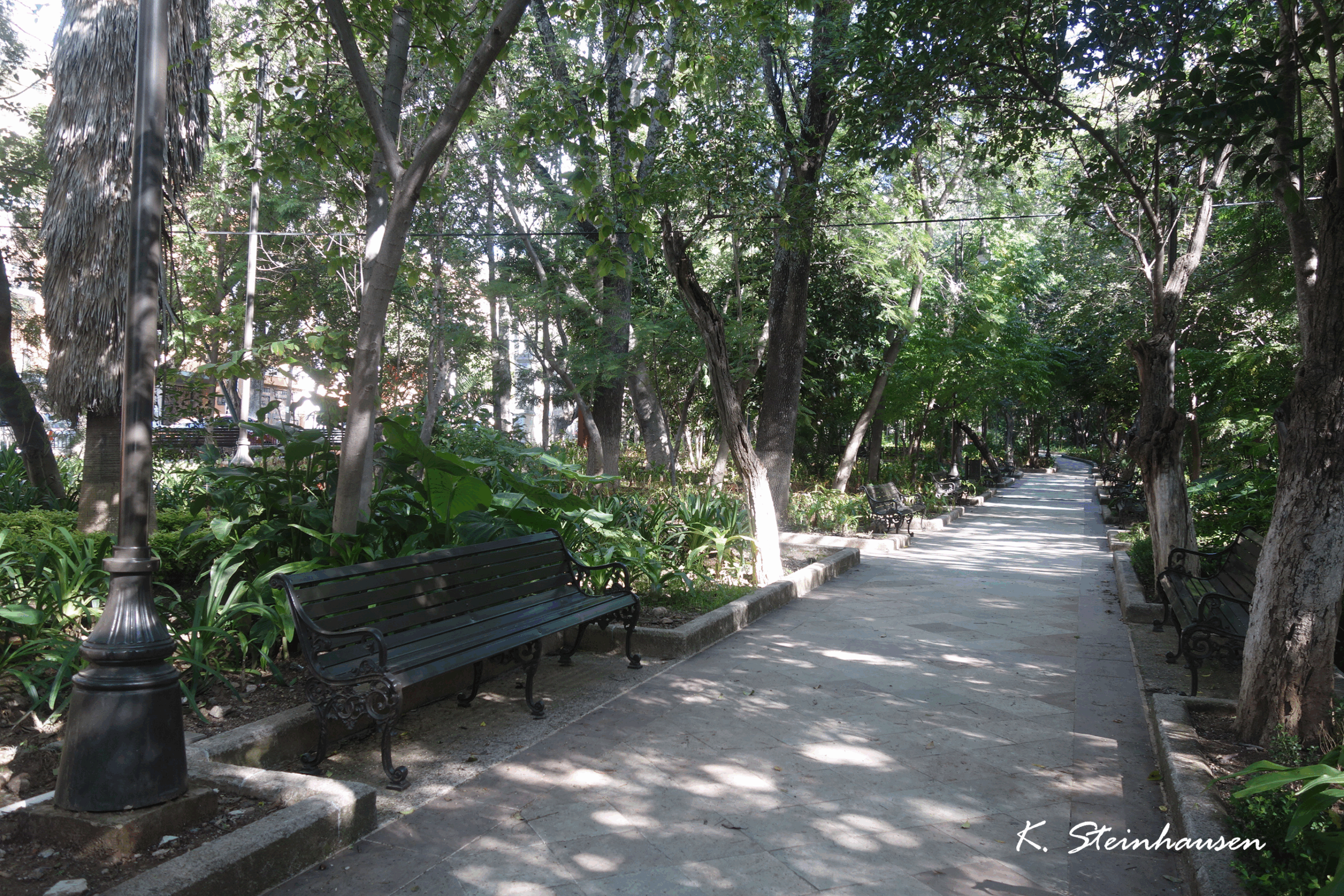 Mehr über den Artikel erfahren Park Florencio Antillón – Guanajuato