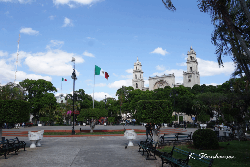Parque & Catedral