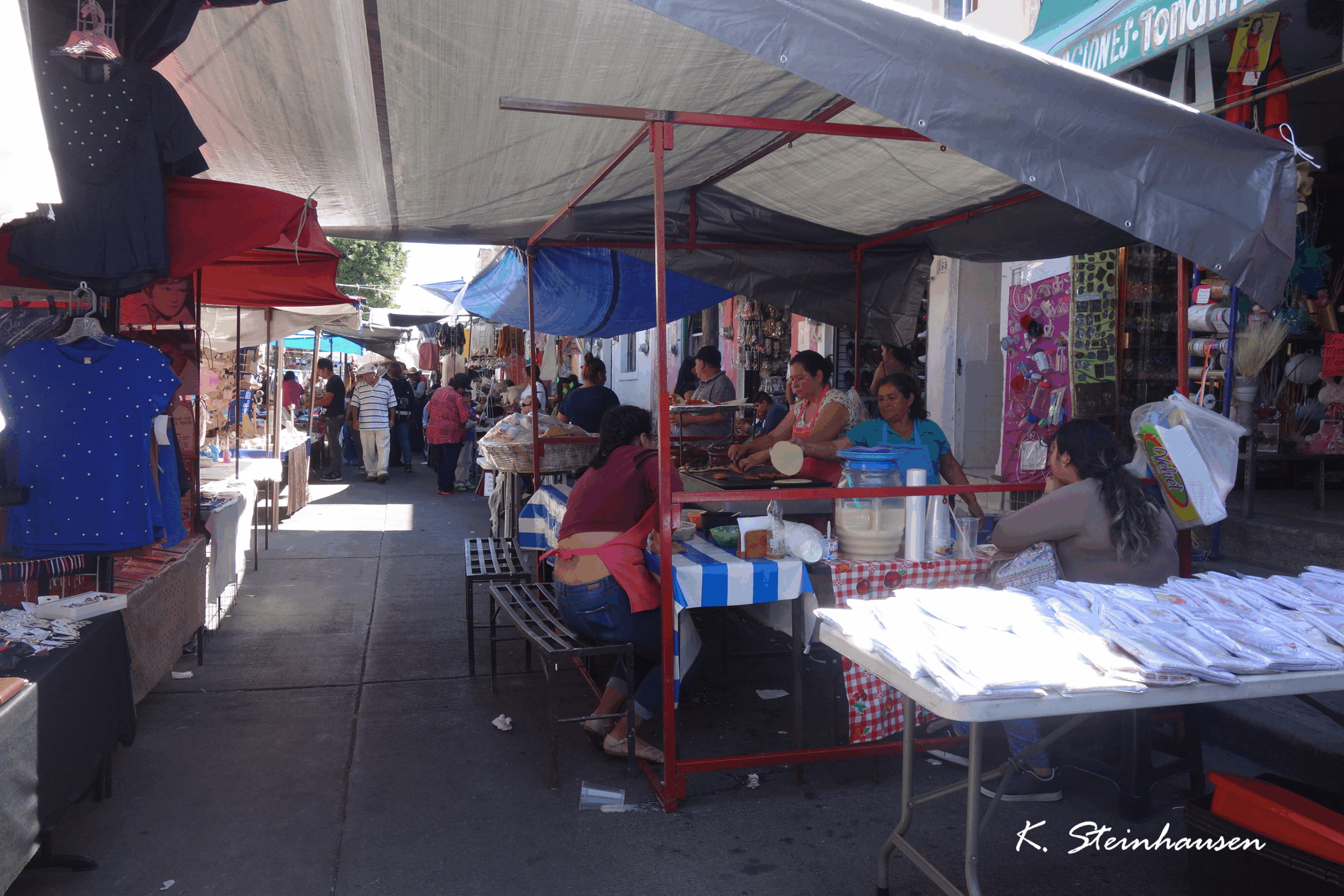 Mehr über den Artikel erfahren Zapopan Markt – Guadalajara