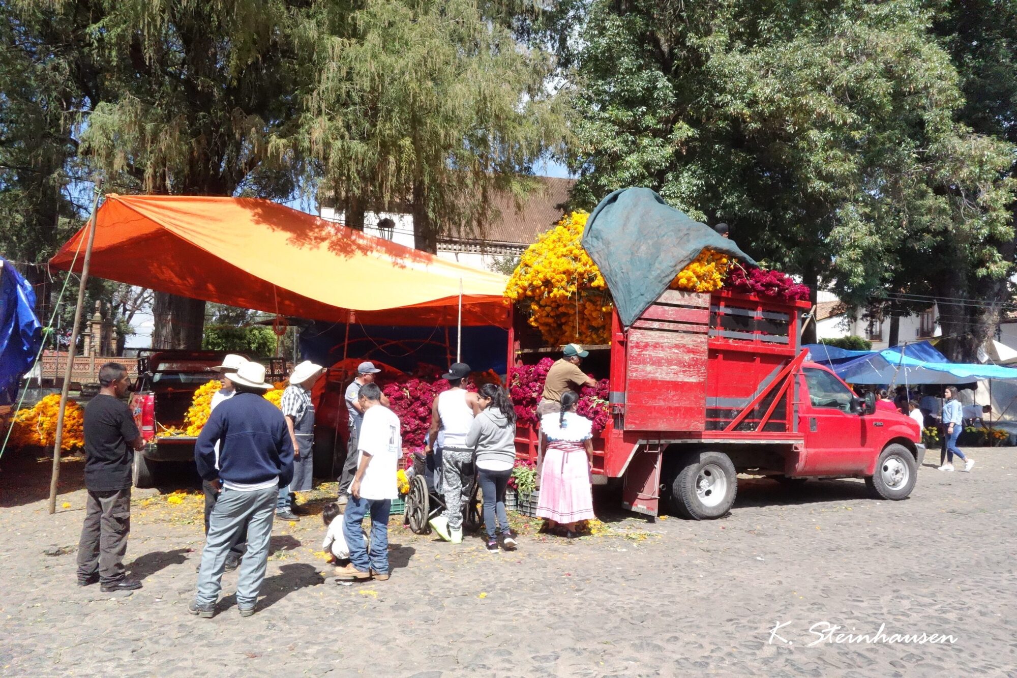 Mehr über den Artikel erfahren Blumenmarkt Día de los Muertos – Patzcuaro