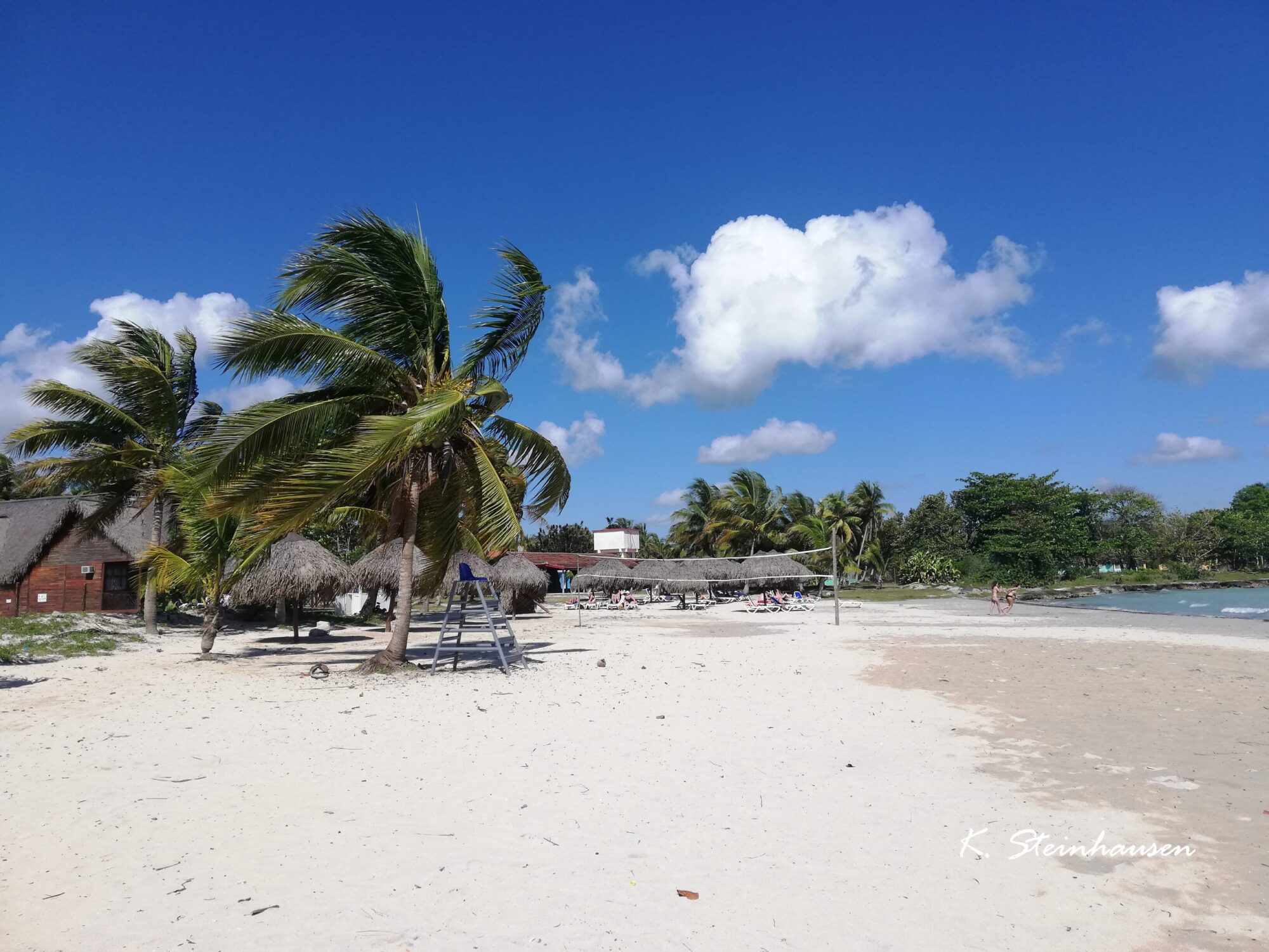 Mehr über den Artikel erfahren Playa Larga
