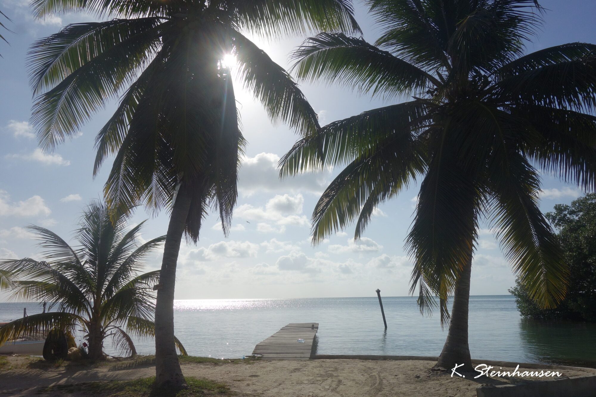 Mehr über den Artikel erfahren Caye Caulker