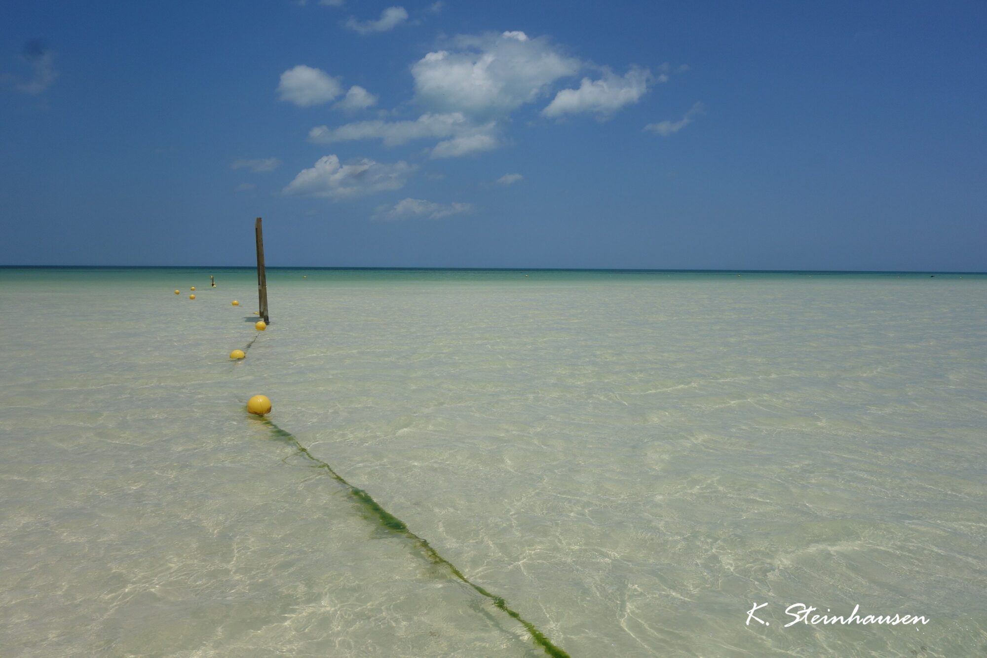 Mehr über den Artikel erfahren Naturschutzgebiet – Holbox