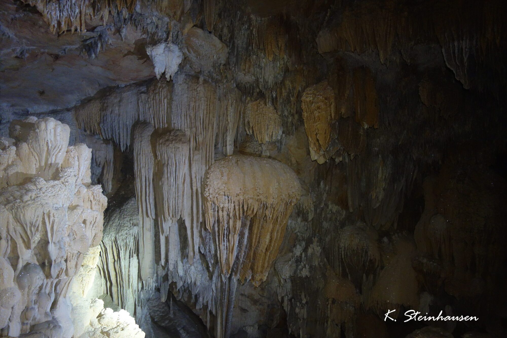 Mehr über den Artikel erfahren St. Herman’s Cave – San Ignacio