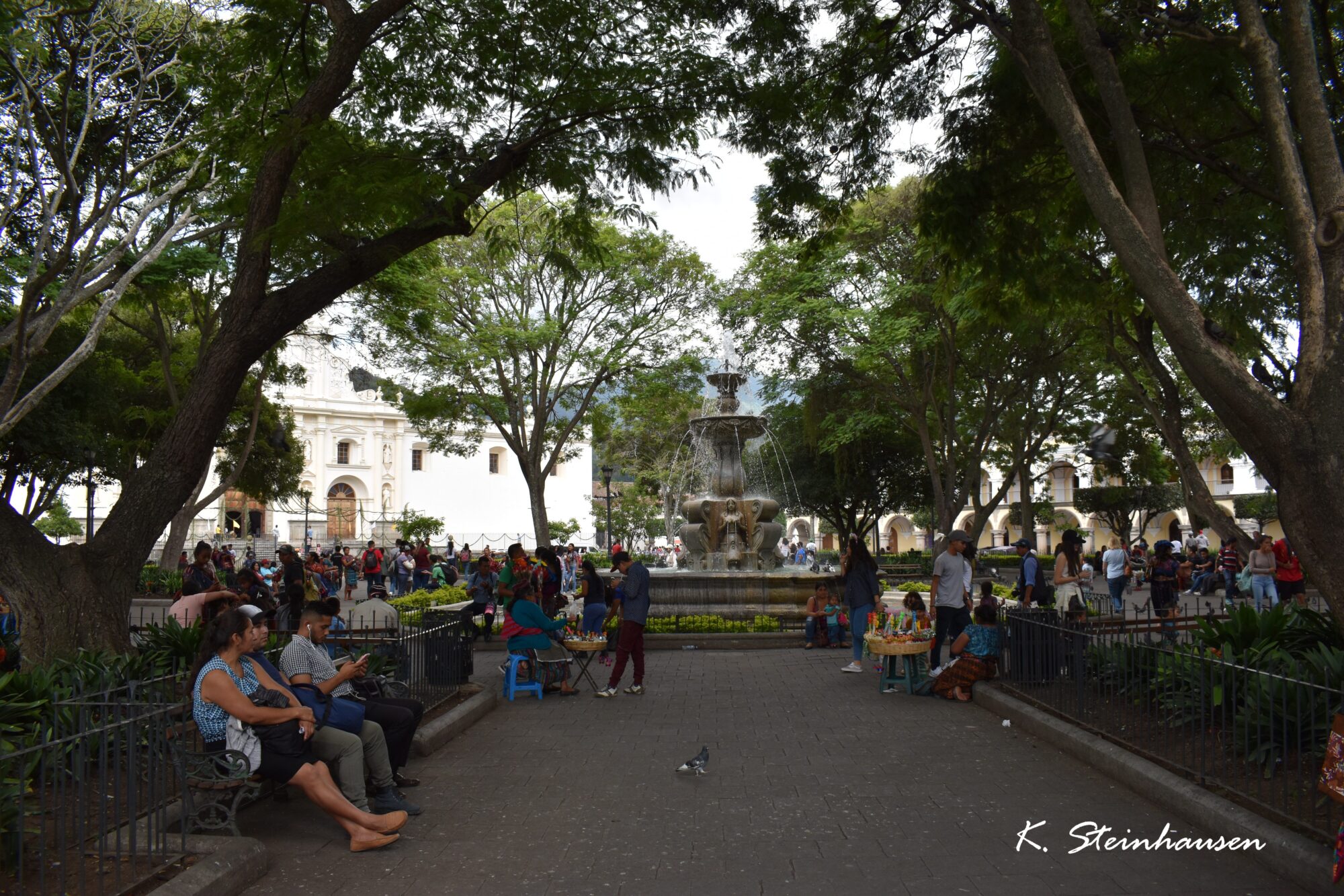 Mehr über den Artikel erfahren Zentraler Park – Antigua